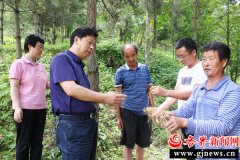 宁强县政协督导深度贫困村脱贫攻坚